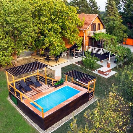 Villa Dijana - Pool, Spa, Outdoor Kitchen 베오그라드 외부 사진