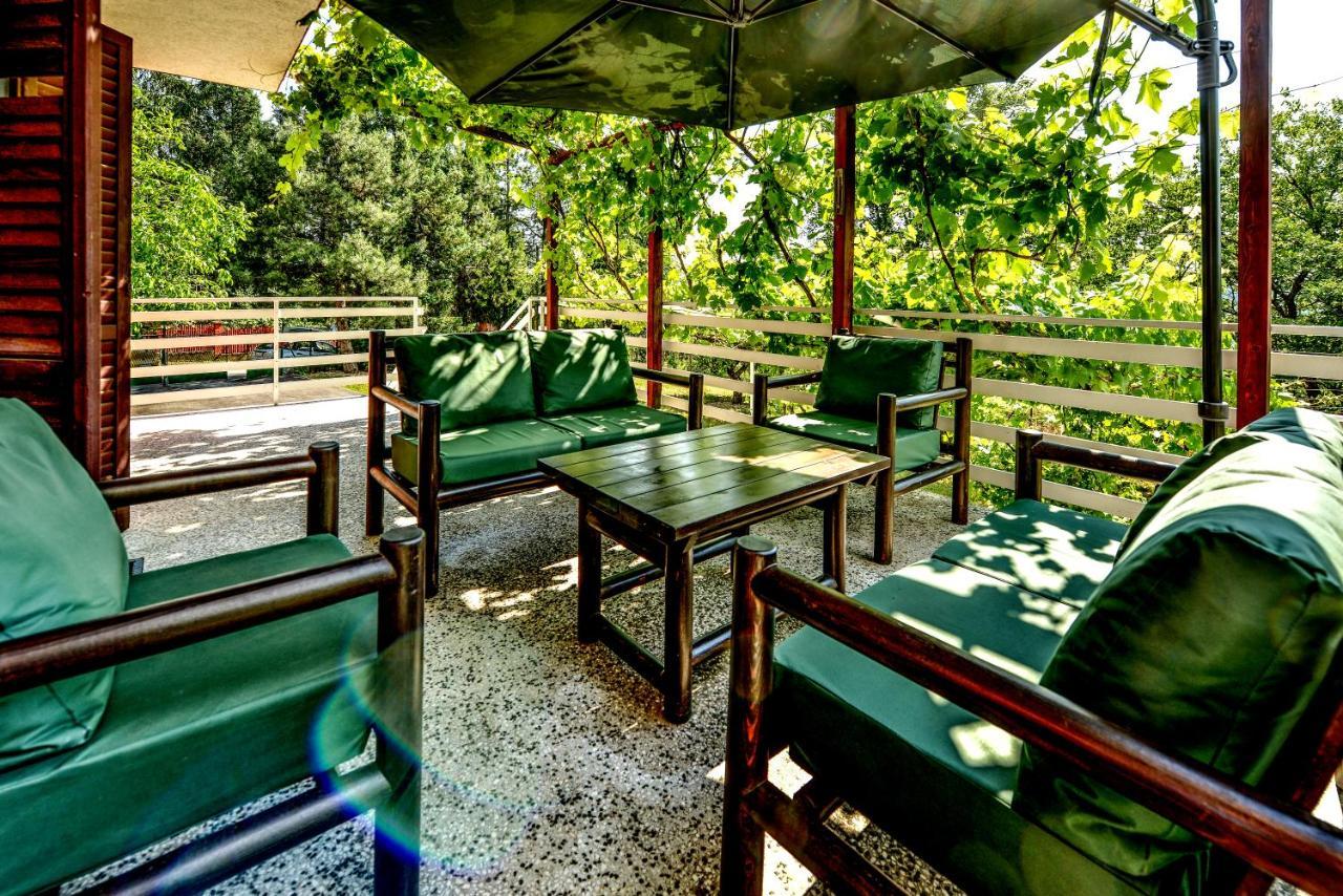 Villa Dijana - Pool, Spa, Outdoor Kitchen 베오그라드 외부 사진